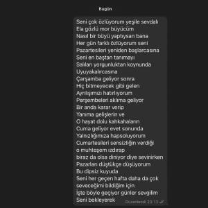 收聽Altay Tuna POLAT的Seni Bekleyerek歌詞歌曲
