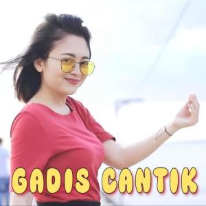 Listen to Gadis Cantik (Remix) song with lyrics from Farel Alfara