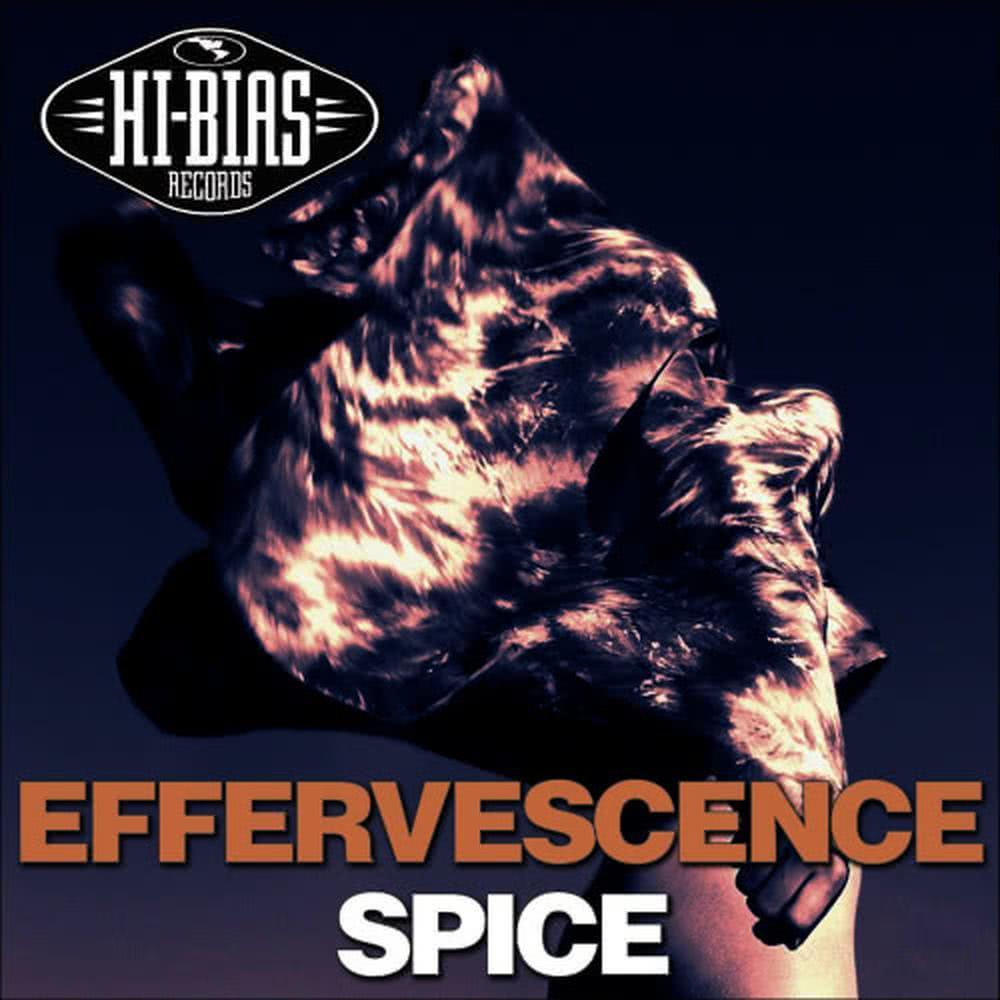 Spice(MG's Sub Dub Mix)