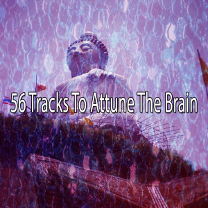 Meditation的专辑56 Tracks to Attune the Brain