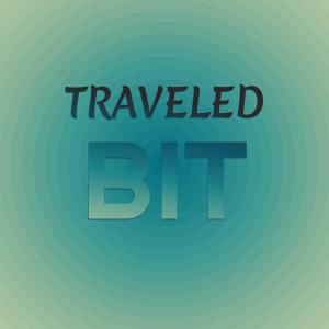 Various的专辑Traveled Bit