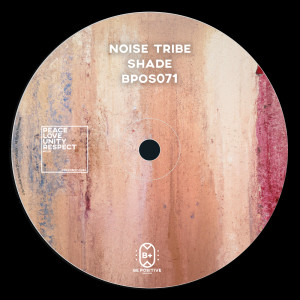 ดาวน์โหลดและฟังเพลง Shade (Davide Marchesiello Remix) พร้อมเนื้อเพลงจาก Noise Tribe