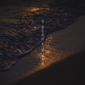 Album 想要忘记你 又想起你 from 
