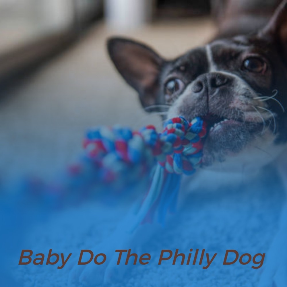 Baby Do the Philly Dog