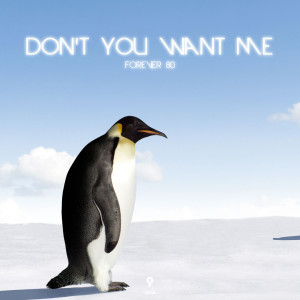 ดาวน์โหลดและฟังเพลง Don't You Want Me (Instrumental Edit) พร้อมเนื้อเพลงจาก Forever 80
