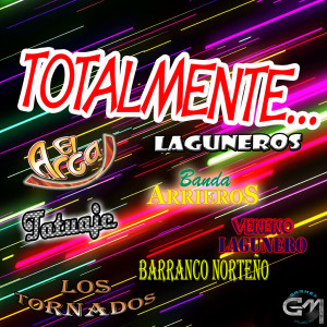 ดาวน์โหลดและฟังเพลง No Puedo Olvidar พร้อมเนื้อเพลงจาก Tatuaje