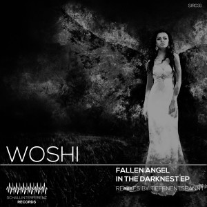 收聽Woshi的Fallen Angel in the Darkness歌詞歌曲