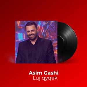 Asim Gashi的專輯Luj qyqek