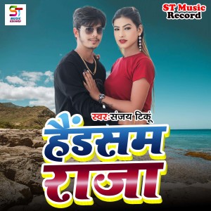 Listen to Handsome Raja song with lyrics from Sanjay Tinku