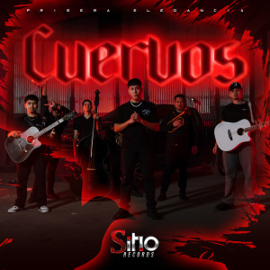 Listen to Cuervos song with lyrics from Primera Elegancia