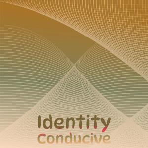 Various的专辑Identity Conducive