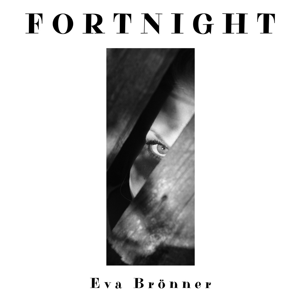 Fortnight (Cello Version)
