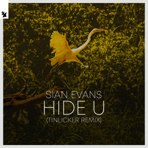 Listen to Hide U (Tinlicker Extended Remix) song with lyrics from Sian Evans