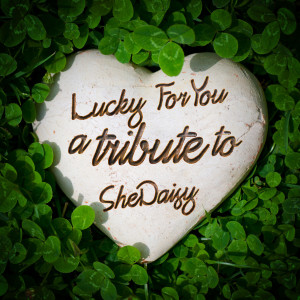Ameritz Tribute Club的專輯Lucky for You: A Tribute to SheDaisy