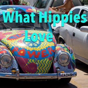 Album What Hippies Love from Various