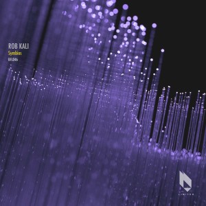 ดาวน์โหลดและฟังเพลง Durum พร้อมเนื้อเพลงจาก Rob Kali