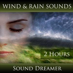Wind and Rain Sounds (2 Hours)