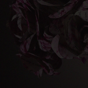 dazed?!的專輯exude