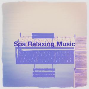 อัลบัม Spa Relaxing Music ศิลปิน ดารานักร้องหลายคน