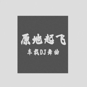 Album 原地起飞 (车载DJ舞曲) from 潮妹