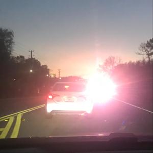 ดาวน์โหลดและฟังเพลง forest (Explicit) พร้อมเนื้อเพลงจาก Kaydence May