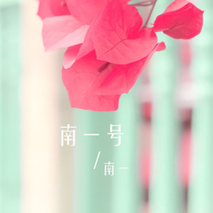 Album 南一号 from 