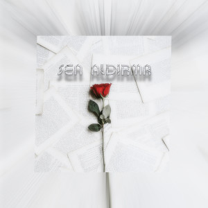 Listen to Sen Aldırma song with lyrics from Ramis