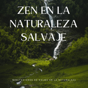 Zen En La Naturaleza Salvaje: Meditaciones De Calma En La Naturaleza dari Paz