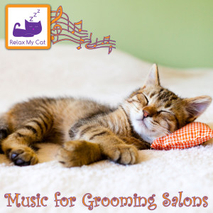 Listen to Evening Wind Down song with lyrics from RelaxMyCat