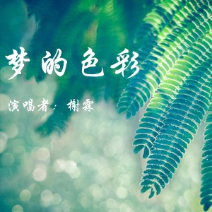 榭霖的專輯夢的色彩