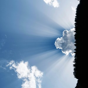 Album Psalm 23 from Olli Dawson