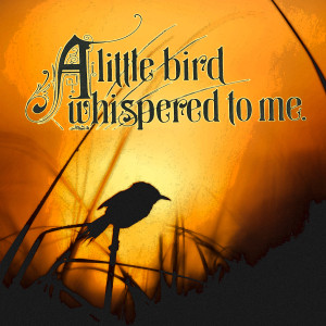 Album A Little Bird Whispered to me from Lenny Dee