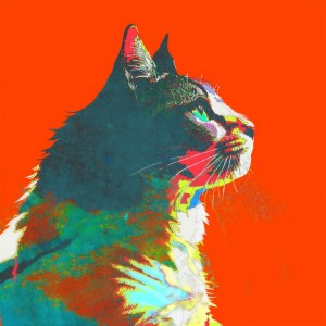 อัลบัม 毎日 - Every Day ศิลปิน Kenshi Yonezu