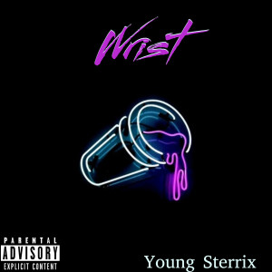 ดาวน์โหลดและฟังเพลง Wrist (Explicit) พร้อมเนื้อเพลงจาก Young Sterrix