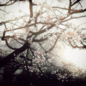 收聽Netami的Back in Time (feat. KysLonesoul)歌詞歌曲