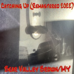 Listen to Matt's Song (Tears Get Washed Away) (Remastered 2022) song with lyrics from Bear Valley Brown