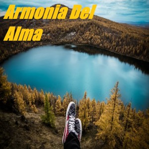 Para El Alma的专辑Armonía del Alma