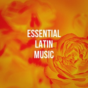 Listen to La Cafetera song with lyrics from Original De Manzanillo