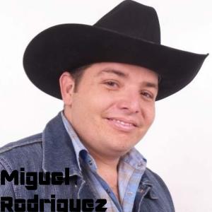 Listen to Me Gusta Ella song with lyrics from Miguel Rodríguez