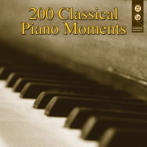 收聽Chadwick Summers (Piano)的Flight Of The Bumble Bee歌詞歌曲