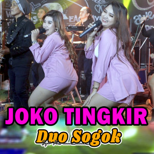 Dengarkan Joko Tingkir lagu dari Duo Sogok dengan lirik