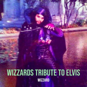 Wizzard的專輯Wizzards Tribute to Elvis