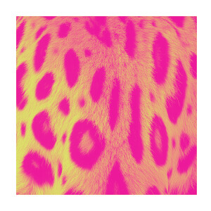 ดาวน์โหลดและฟังเพลง Alte Schule พร้อมเนื้อเพลงจาก Esel&Eule