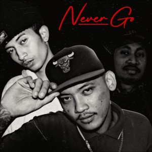 Listen to Never Go song with lyrics from Willka999