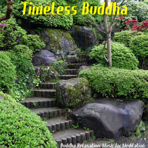 Dengarkan Flute Dreams lagu dari Timeless Buddha dengan lirik