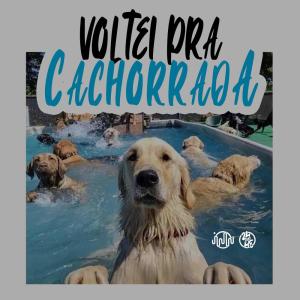 Yuri Redicopa的專輯Voltei Pra Cachorrada (Explicit)