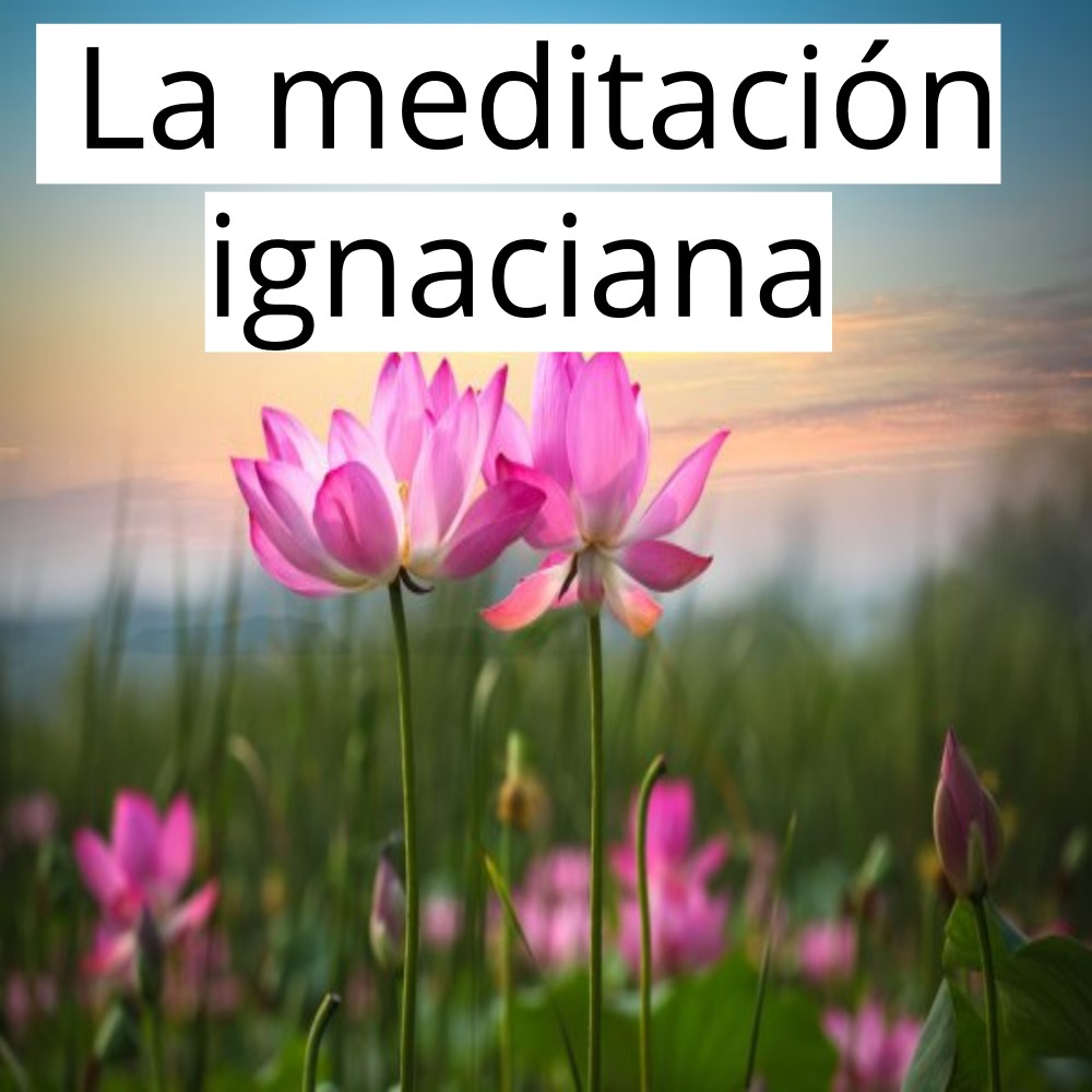 Viaje Meditativo