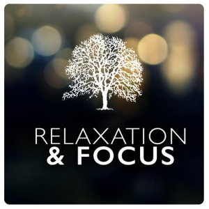 ดาวน์โหลดและฟังเพลง Become Mindful พร้อมเนื้อเพลงจาก Relax