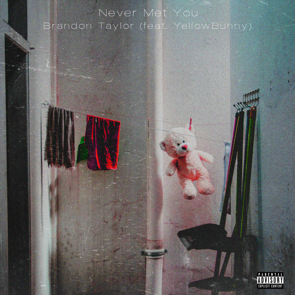 Never Met You (Explicit)