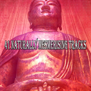 ดาวน์โหลดและฟังเพลง Creation พร้อมเนื้อเพลงจาก Yoga Music
